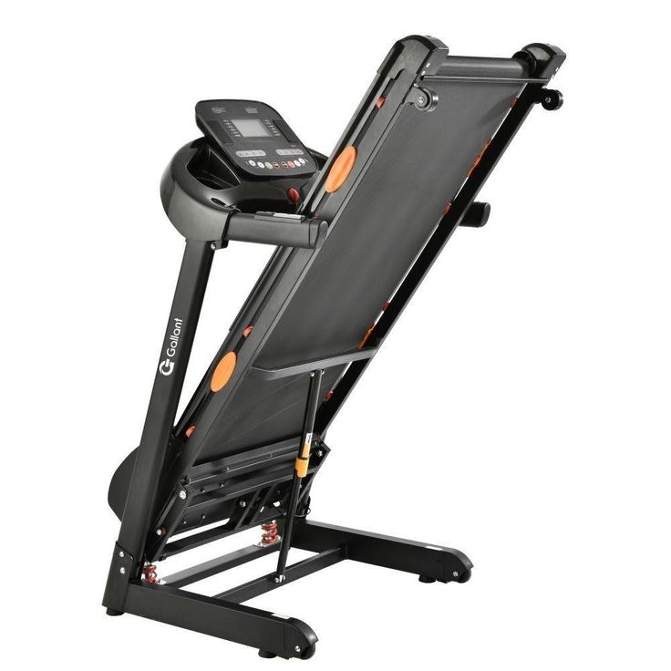 Reverse Hyper Machine: A Powerlifter’s Secret for Spinal Health