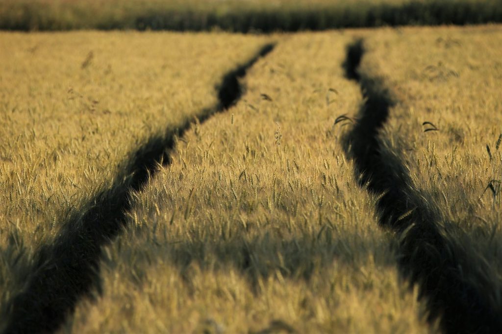 Key Energy and Operational Solutions in Modernizing Agriculture