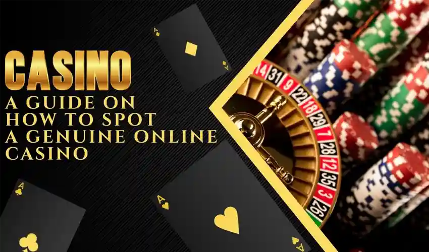 How to Identify a Trustworthy Gaming Platform: A Guide to Finding the Best Online Casino in UAE
